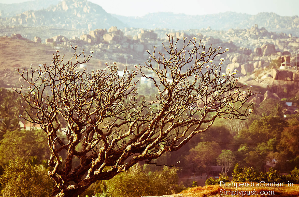 best-travel-pictures-hampi-india-by-best-travel-photographer-india-pushpendra-gautam